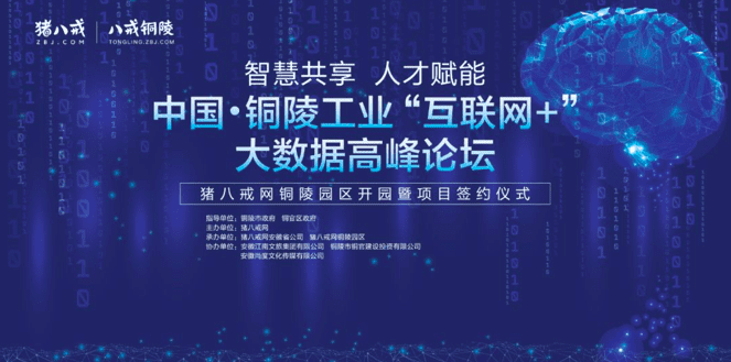 【直击现场】中国·铜陵工业“互联网+”大数据高峰论坛