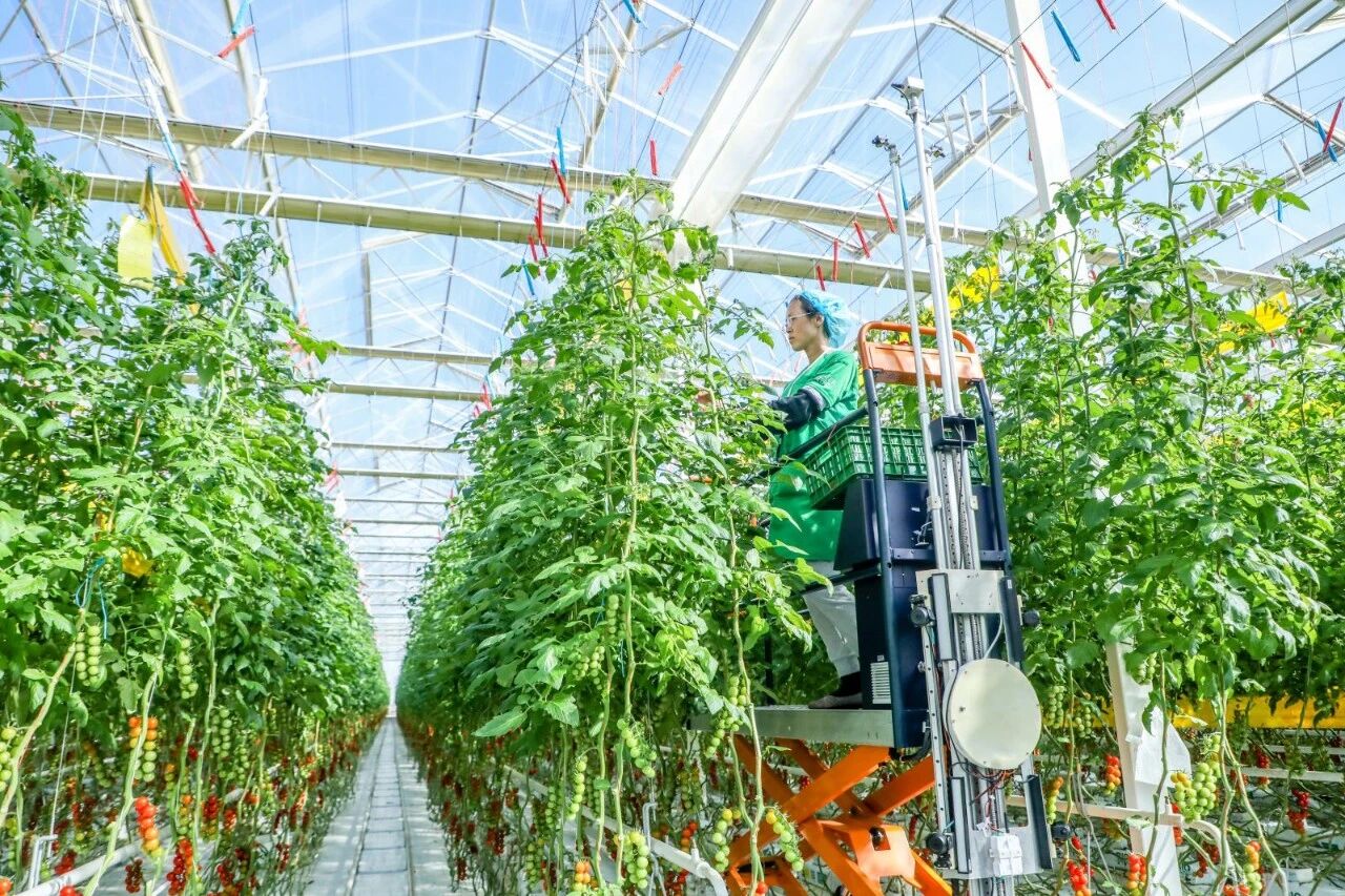 爱波瑞×凯盛浩丰：精益数字化重塑智慧农业管理新生态